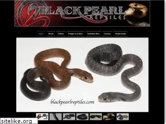 blackpearlreptiles.com