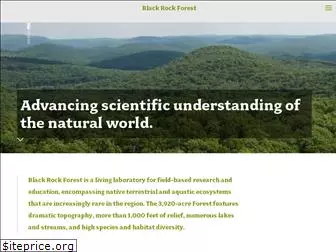 blackrockforest.org