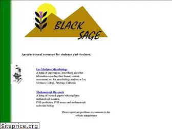 blacksage.com