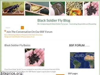 blacksoldierflyblog.com