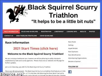 blacksquirrelscurry.com