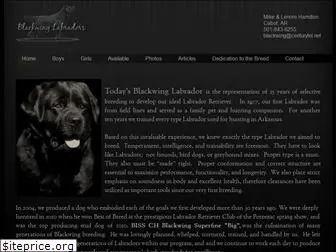 blackwinglabradors.com