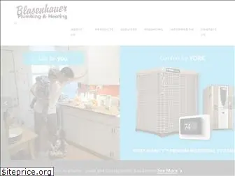 blasenhauer.com