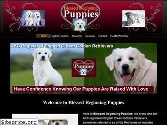 blessedbeginningpuppies.com