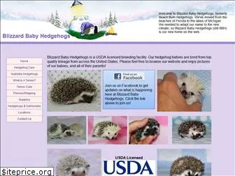 blizzardbabyhedgehogs.com