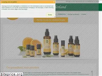 bloesemremedies.com