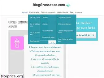 bloggrossesse.com