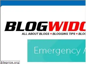 blogwidow.com