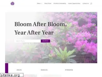 bloomafterbloom.com