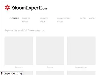 bloomexpert.com