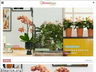 bloomifique.com