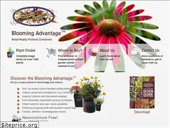 bloomingadvantage.com