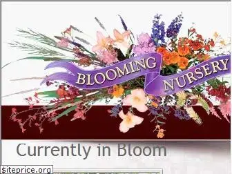 bloomingnursery.com