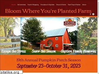 bloompumpkinpatch.com