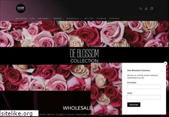 blossomfootwear.com