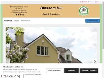 blossomhillbandb.com