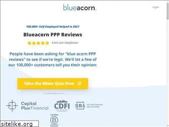 blueacornreviews.com