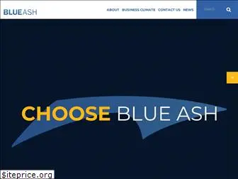 blueashadvance.com