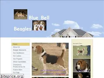 bluebellbeagles.com