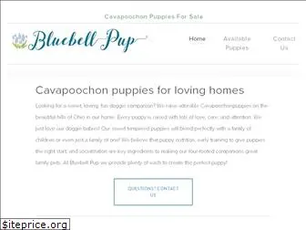 bluebellpup.com