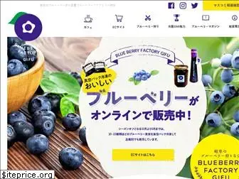blueberry-factory.com