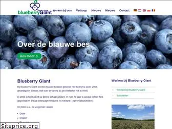 blueberry-giant.de