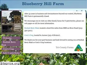 blueberry-hill-farm.com