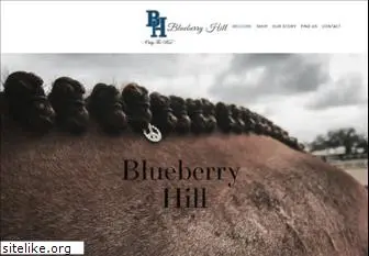 blueberry-hill.net