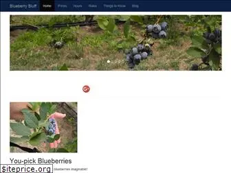 blueberrybluff.com