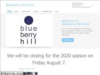 blueberryhillfarmrodney.com