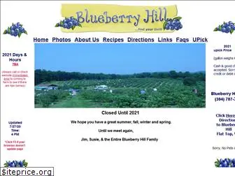 blueberryhillwv.com