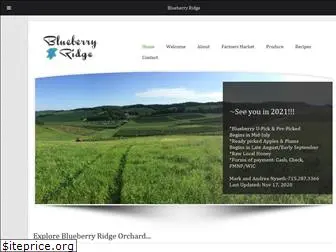 blueberryridge-orchard.com