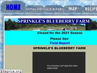 blueberrysite.com