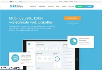 bluebilisim.com