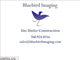 bluebirdimaging.com