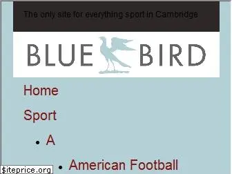 bluebirdnews.co.uk