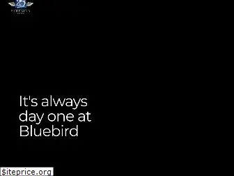 bluebirdng.com