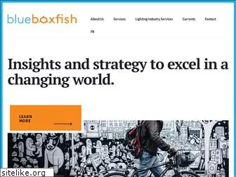 blueboxfish.com