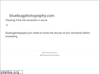 bluebugphotography.com
