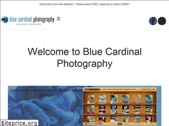bluecardinalphotography.com