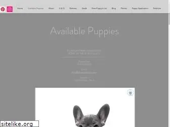 bluecoatfrenchbulldogs.com