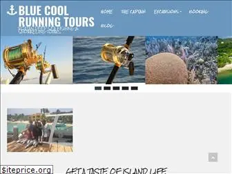 bluecoolrunningtours.com