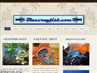 bluecrayfish.com