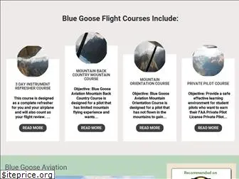 bluegooseaviation.com