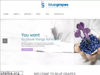 bluegrapesmarketing.com