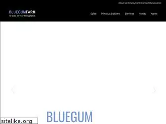 bluegumfarm.com.au