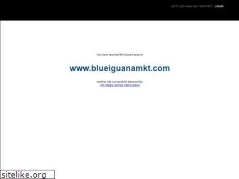 blueiguanamkt.com