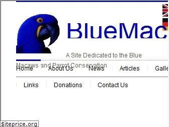 bluemacaws.org