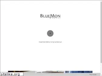 bluemon.mn