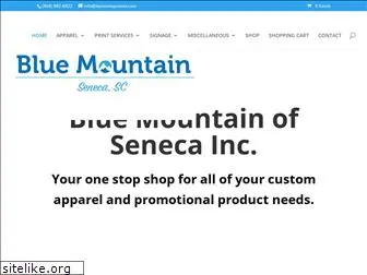 bluemtnsc.com